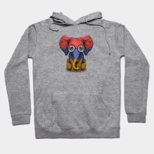 Baby Elephant with Glasses and Armenian Flag Hoodie